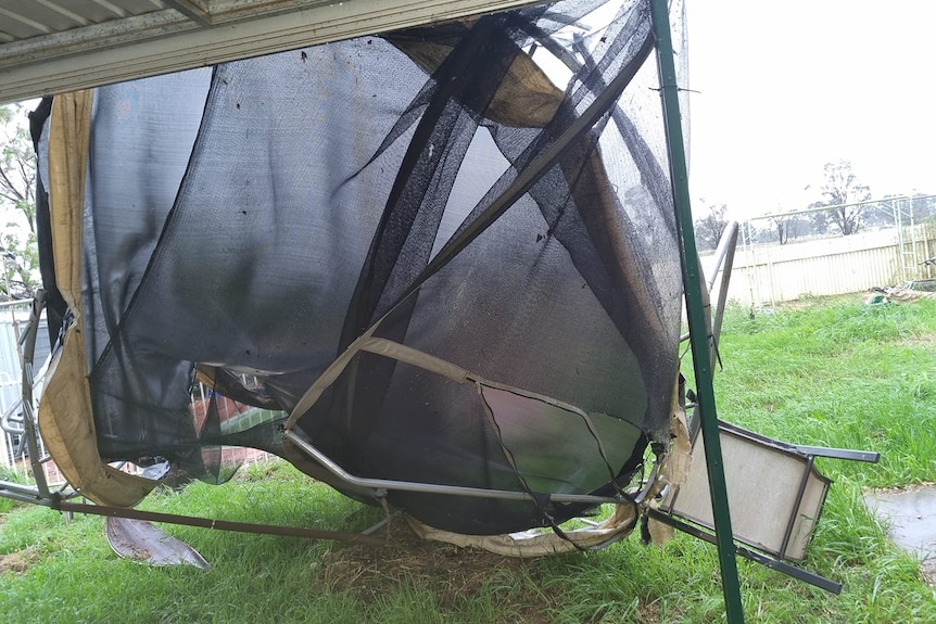 A mangled trampoline in a wet backyard.