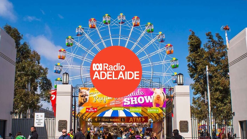 Royal Adelaide Show ferris wheel