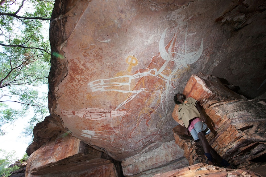 A Indigenous man looking up at a petroglyph of a buffalo on a wide overhanging rock above his head.