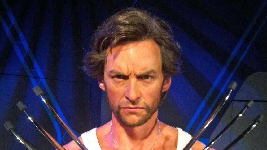 Wax model of Hugh Jackman as Wolverine, April 16th 2012