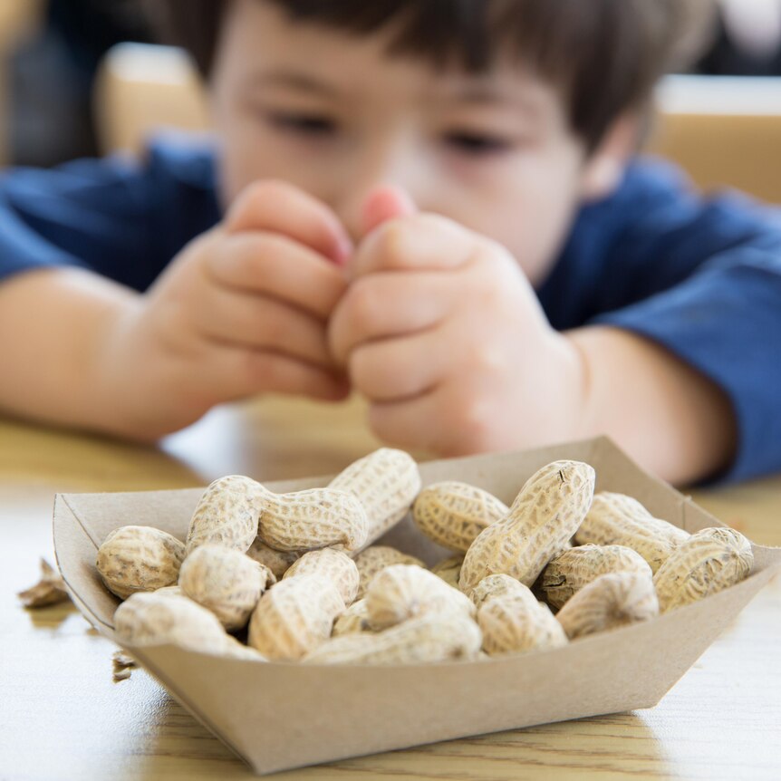A child sits behind a box of peanuts.