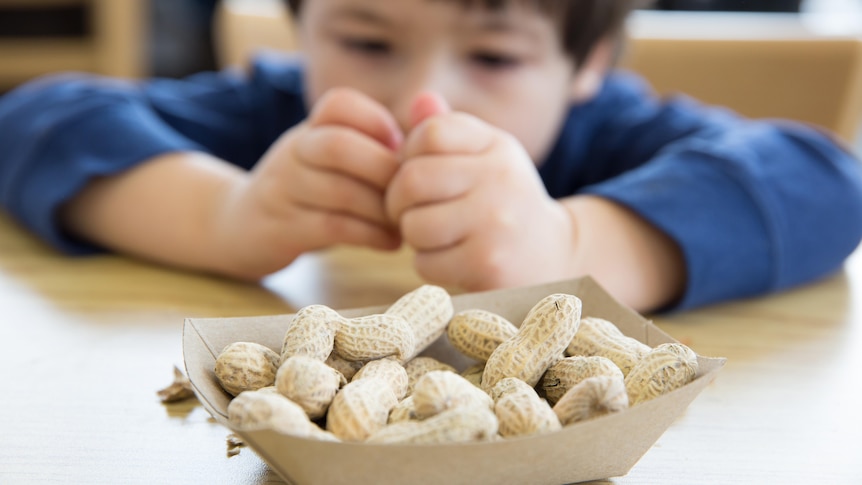 A child sits behind a box of peanuts.