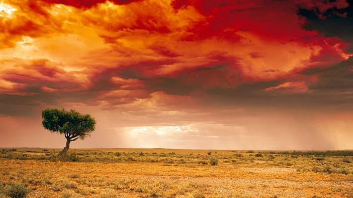 Peter Lik's Dreamland, taken in Australia, December 4 2014.