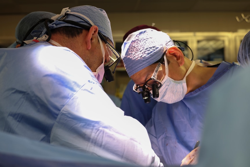 Surgeons look down in an operating theatre