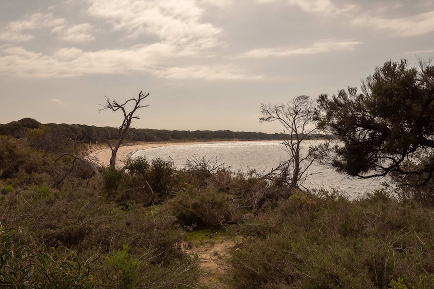 The beach at Sulphur Town, WA's first colonial settlement on Garden Island.