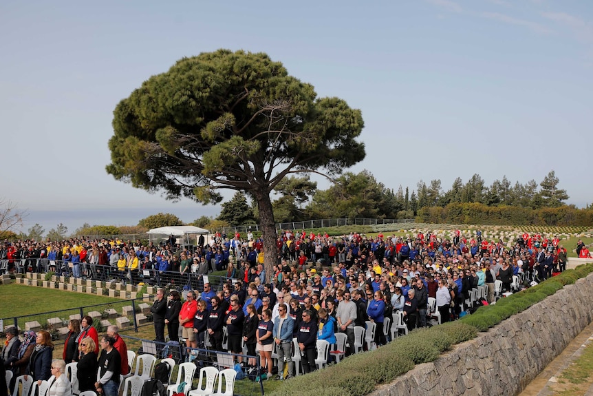 A large crowd of people stand up from their chairs at a war cemetery under a large tree