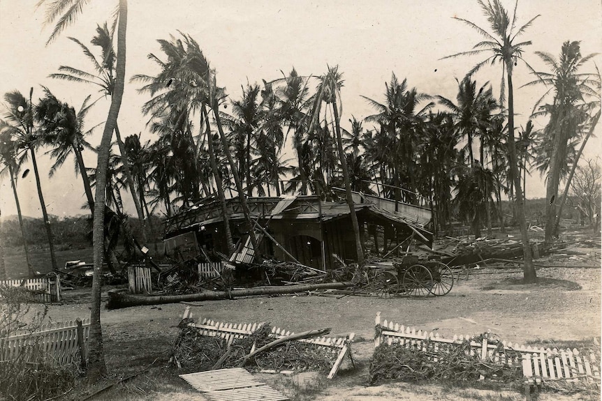 Palm trees tilted on a damaged house