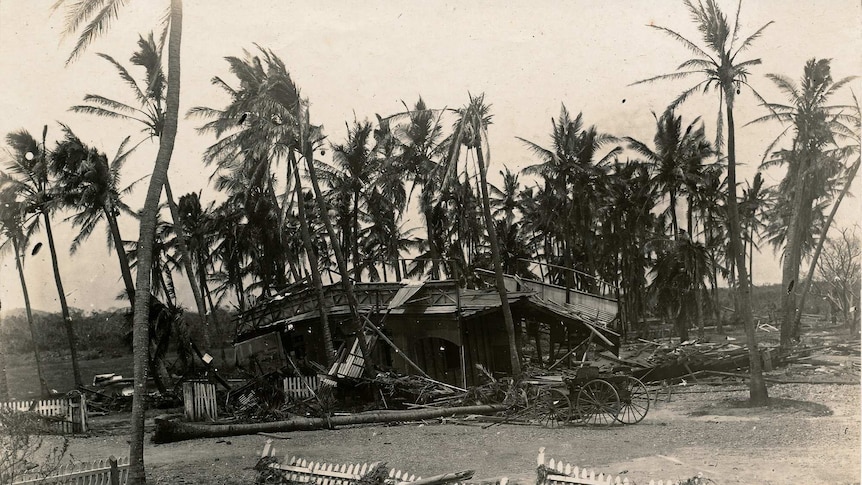 Palm trees tilted on a damaged house