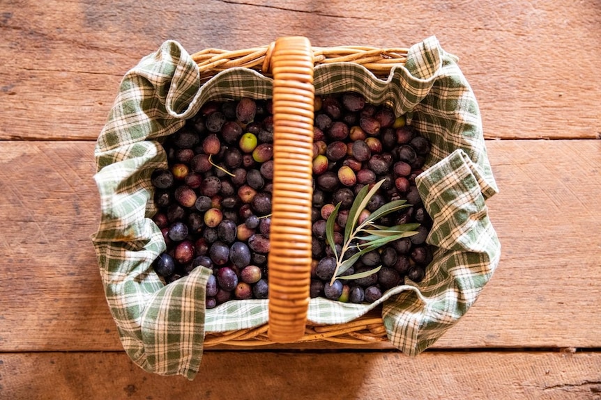 A basket of olives.