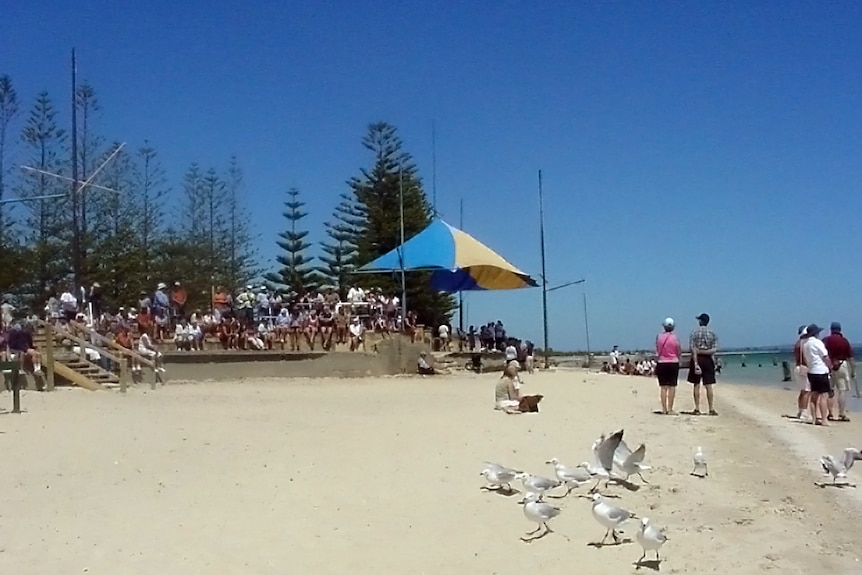 People at the beach with seagulls in the foreground