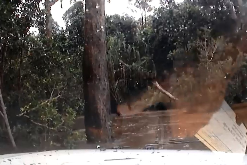 Dashcam footage shows Adrian Hastwell-Batten's car in floodwaters