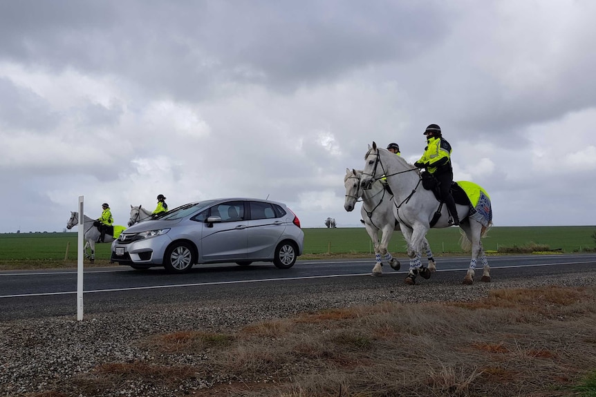 Police wearing high vis clothing riding horses along a highway