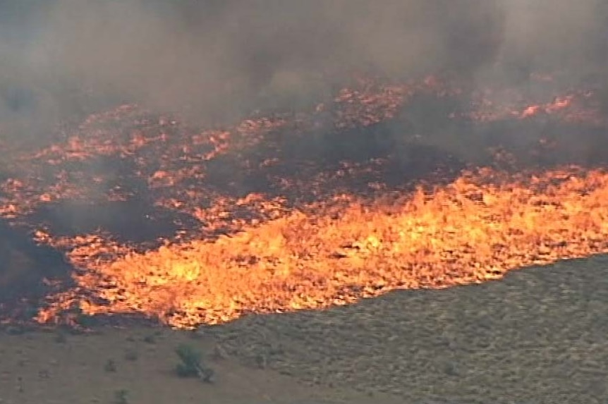 A large patch of grass on fire near Little River.