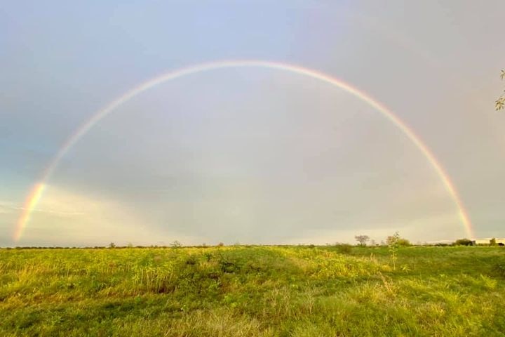 Green grass under a rainbow