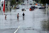 Water world: Residents in the Brisbane suburb of Wilston wade through floodwaters.
