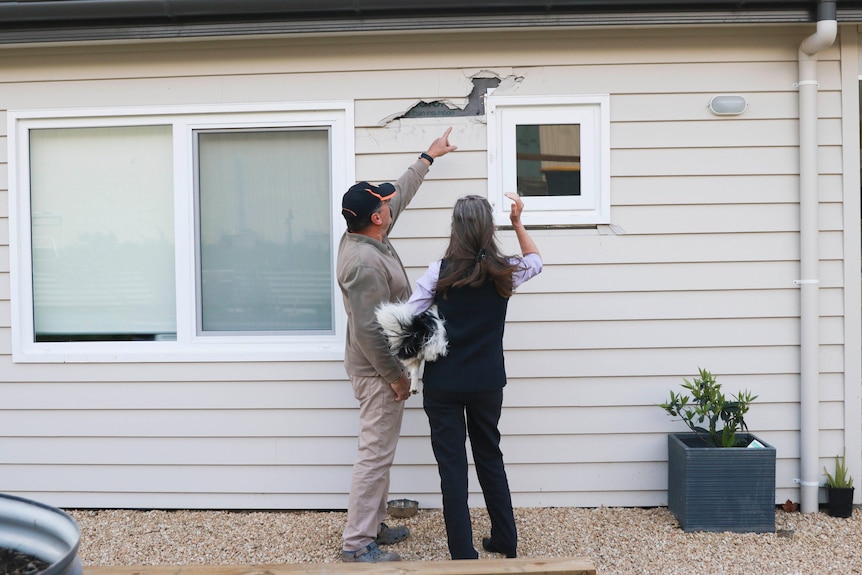 A man and a woman holding a dog point at a hole in a house wall.