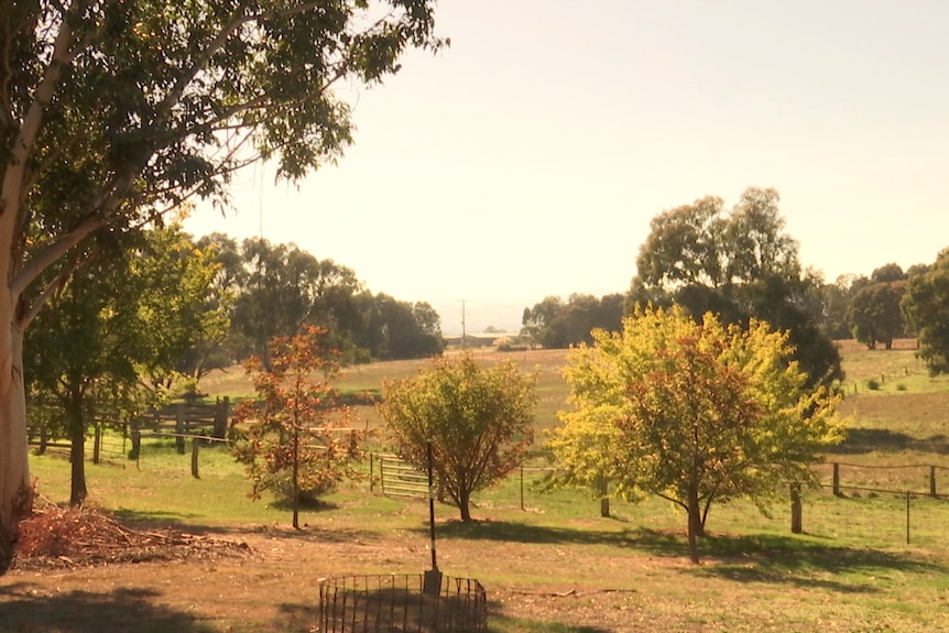 Australian farmland with paddocks and trees