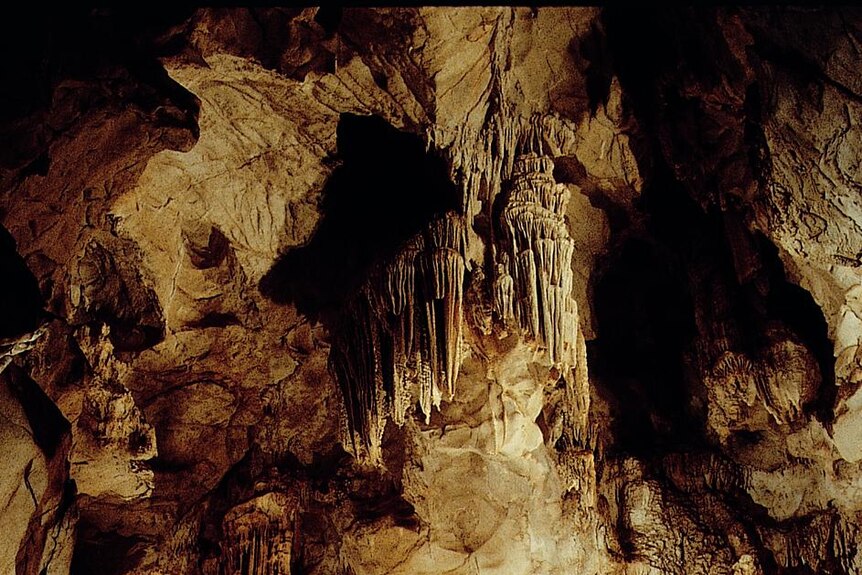 Colin Offord performing in the Cathedral Cave, Jenolan Caves NSW