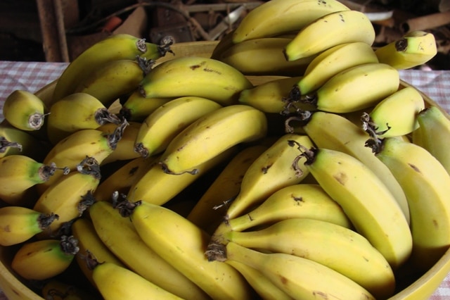 A bowl of ripe yellow bananas
