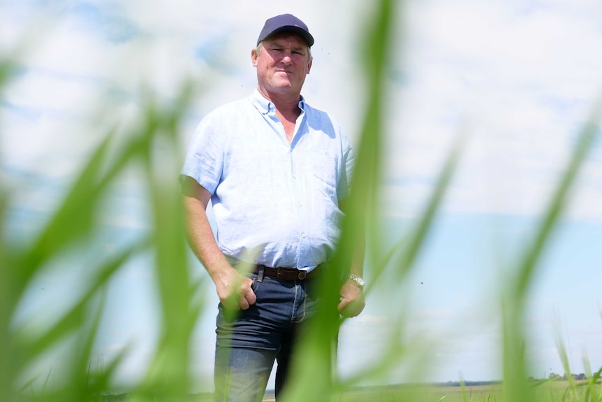 A man stands in a paddock with green grass in front of him