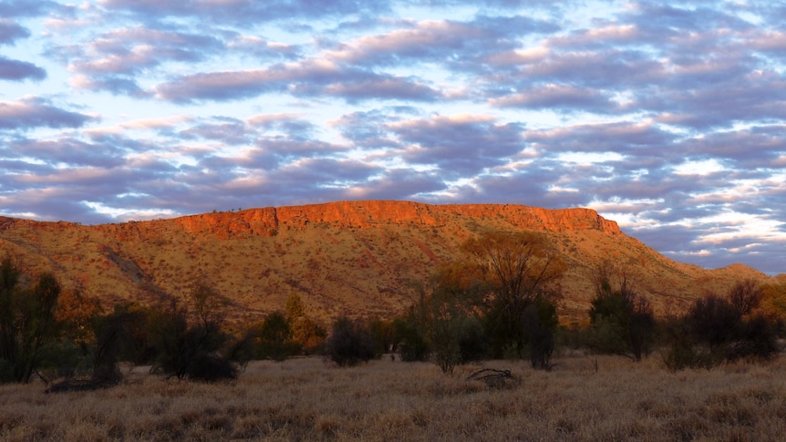 Sunrise highlights the red rock of a distant monolith, with foreground scrub and trees still cast in shadow. 
