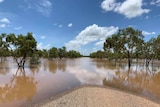 Flooding over the road in Fitzroy Crossing.