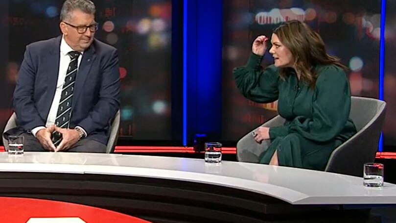 'You are crazy': Sarah Hanson-Young launches into Resources Minister Keith Pitt over climate targets on Q+A