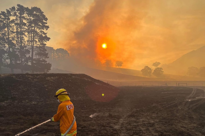 A CFA firefighter.