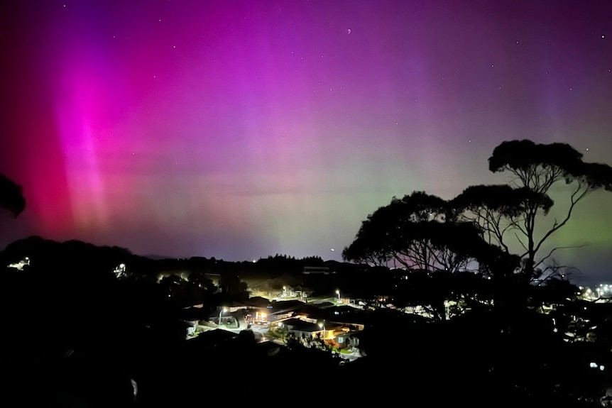 Purple and pink lights in the sky over suburban houses and trees.