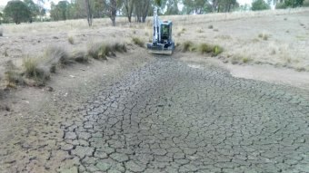 Wide shot of a dry dam in a paddock.
