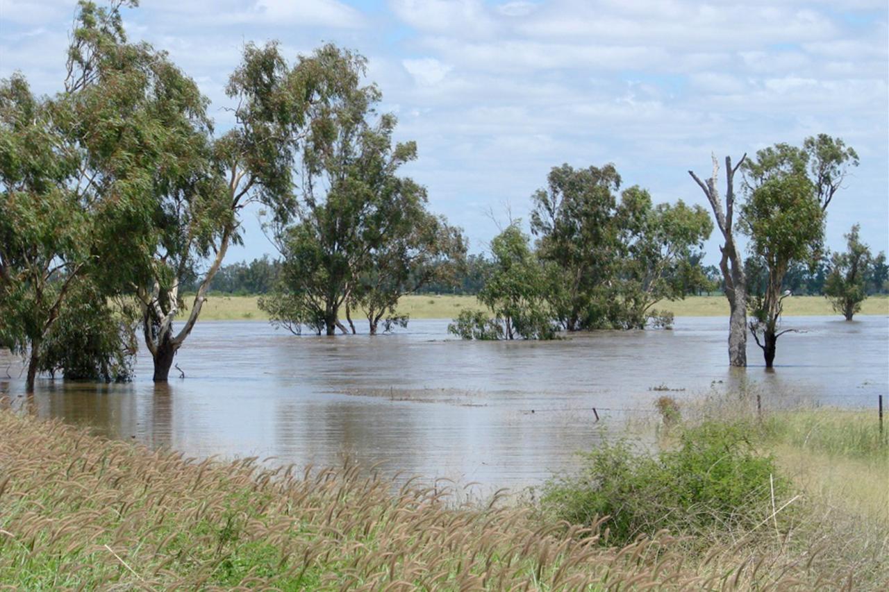 Evacuees return to flood-ravaged NSW towns - ABC News