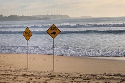 Manly Beach is closed this morning following the shark attack.