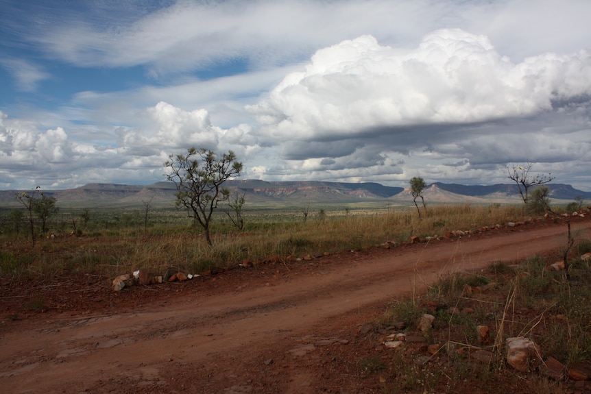 A wide landscape shot of a rugged bush track