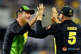 Aaron Finch celebrates with Marcus Stoinis after catching out Rohit Sharma.
