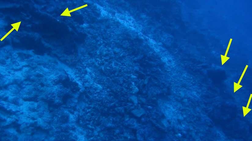Underwater video shows several objects which searchers believe could be debris from Amelia Earhart's plane