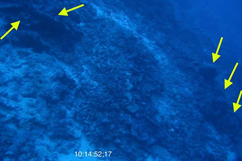 Underwater video shows several objects which searchers believe could be debris from Amelia Earhart's plane