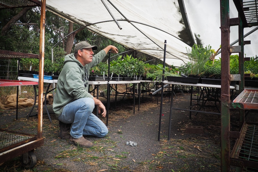 a man in jeans and a light coloured jumper kneels in an undercover plant nursery with a damaged roof