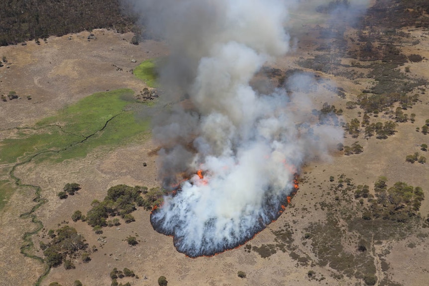 An aerial photograph of a spreading patch of fire in bushland, with masses of smoke rising from the fire.