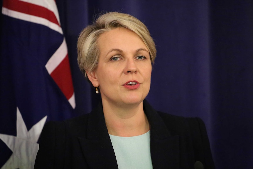 Deputy Labor Leader Tanya Plibersek