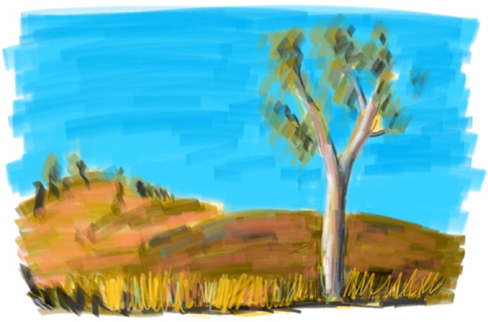Epic hand drawn landscape with a majestic gum tree and general orange tinge.