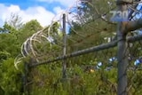 Barbed wire on Manus Island