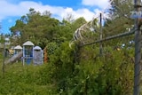 Barbed wire on Manus Island
