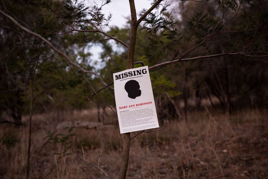 Bushland, twilight: A4 poster (tied to branch) reads Missing: Mary Ann Robinson and silhouette head of young Aboriginal girl.
