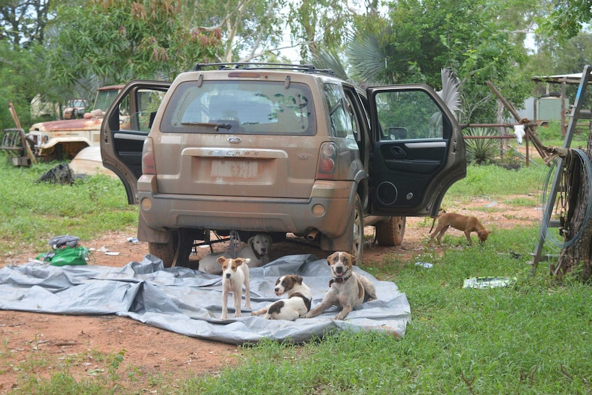 A mud-covered 4WD drive.