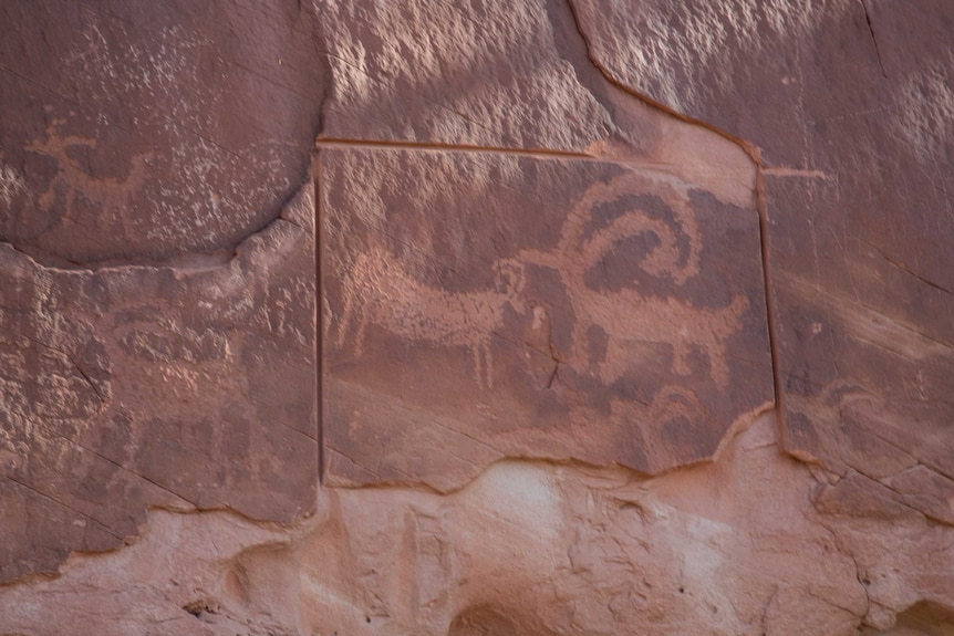 Wall carvings of animals at Grand Staircase-Escalante National Monument