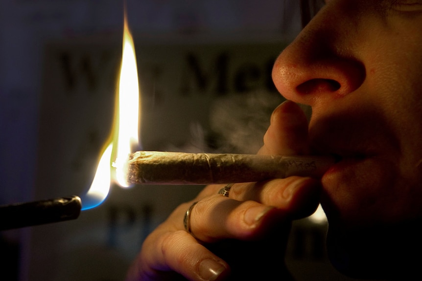 A Dutch woman smokes a cannabis cigarette in a coffee shop in Amsterdam.