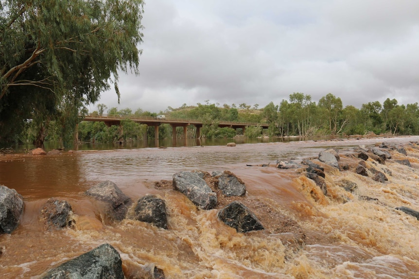 The Cloncurry River in full flow.