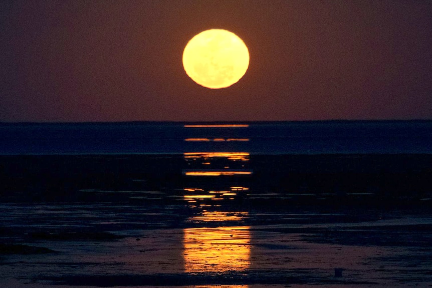 An orange moon low in the sky with a reflection leading out to it over wet mud flats 