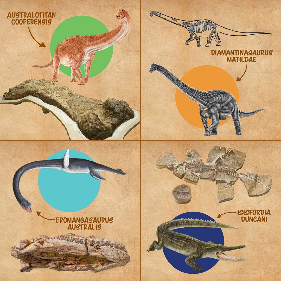 Four dinosaurs show in a grid, showing their bone fossil found next to an illustration of the creature