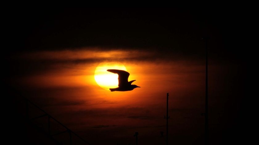 Top End loses its cool as heat lingers into Dry